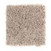 Mohawk Final Word Taupe Haze