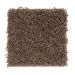 Mohawk Final Word Bearskin