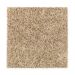 Mohawk Coastal Mood Flaxen