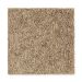 Mohawk Jubilation Toasted Almond