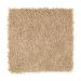 Mohawk Gentle Delight III Beige Canvas