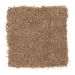 Mohawk Gentle Delight III Acorn Cap