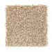 Mohawk Soft Whisper I Aria