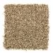 Mohawk Soft Whisper I Bronco Suede