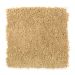 Mohawk Gentle Delight II Gold Nugget