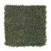 Mohawk Gentle Delight II Pine Needle