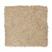Mohawk Truly Tender II Urban Putty
