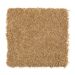 Mohawk Gentle Delight II Hazelnut
