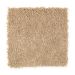 Mohawk Gentle Delight II Beige Canvas