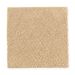 Mohawk Thompson Square Homespun