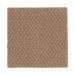 Mohawk Thompson Square Cedar Beige