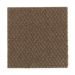 Mohawk Thompson Square Lush Suede