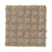 Mohawk Outside The Box Taupe Treasure