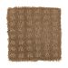 Mohawk Defined Essence Woodland