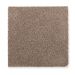 Mohawk Calming Nature Pecan Shell Collection