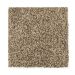 Mohawk Hidden Attraction Brass Tweed