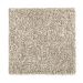 Mohawk Hidden Attraction Coastal Beige