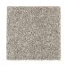 Mohawk Hidden Attraction Taupe Treasure