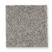 Mohawk Secret Fascination Weathered Grey