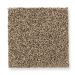 Mohawk Secret Fascination Brass Tweed