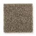 Mohawk Secret Fascination Dried Moss