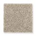 Mohawk Secret Fascination Coastal Beige