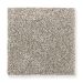 Mohawk Secret Fascination Taupe Treasure