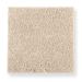 Mohawk Creative Landscape Desert Star