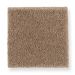 Mohawk Creative Landscape Cedar Beige