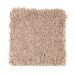 Mohawk Soft Success II Traditional Tan