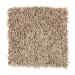 Mohawk Soft Creation III Beige Allure