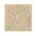 Mohawk Simply Soft II Glazed Wood