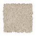 Mohawk Simply Soft II Canvas Cloth