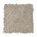 Mohawk Simply Soft II Desert Sage