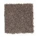 Mohawk Simply Soft II Pine Cone
