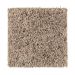 Mohawk Soft Flair Fleck Cliffside Fleck