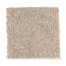 Mohawk Memorable Beige Twill