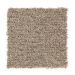 Mohawk Memorable Brushed Suede