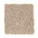 Mohawk Carlisle Way Canvas Cloth