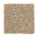 Mohawk Carlisle Way Jute
