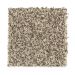 Mohawk Seeker Sandstone