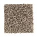 Mohawk Seeker Coastal Beige