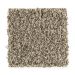 Mohawk Thriller Sandstone