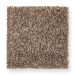 Mohawk Splendid Idea Thatched Roof Collection