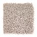 Mohawk Trendy Solution Marzipan