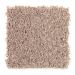 Mohawk Trendy Solution Biscotti