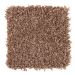 Mohawk Trendy Solution Amber Sunset