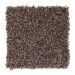 Mohawk Trendy Solution Walnut Shell