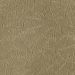 Mohawk Designer Delight Oregano