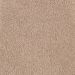 Mohawk Hunter Commons Cozy Beige